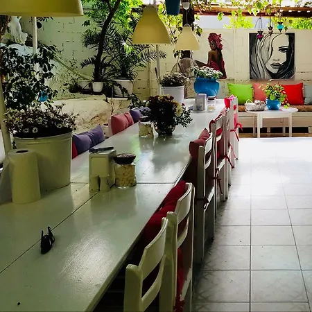 Ferah Monica's Place Hostel *